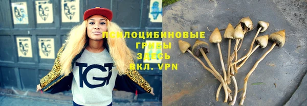 гидра Абдулино
