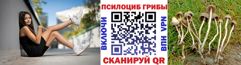 где купить наркоту  Приволжск  hydra как войти  Псилоцибиновые грибы мухоморы 