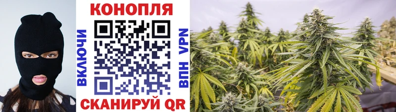Конопля White Widow  наркошоп  Приволжск 